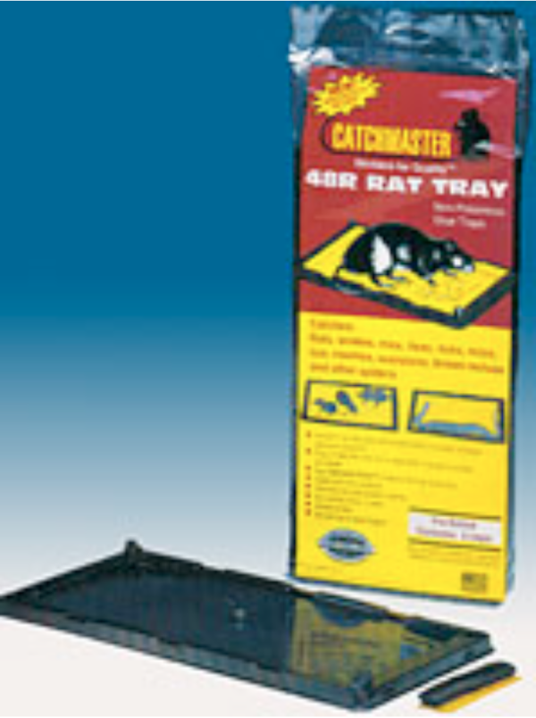 Rat Sticky Pads 48 Pack - Image 2