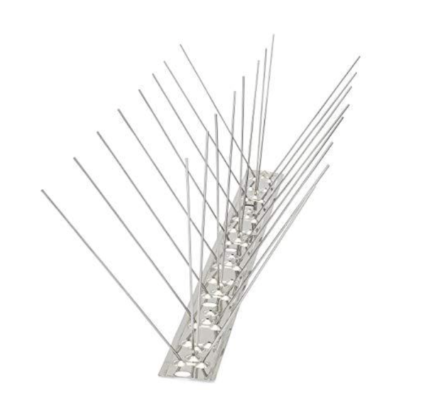 Bird Spikes