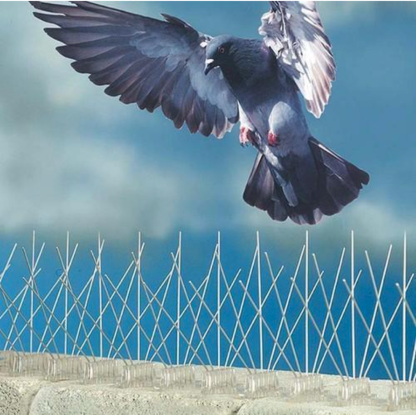 Bird Spikes - Image 2